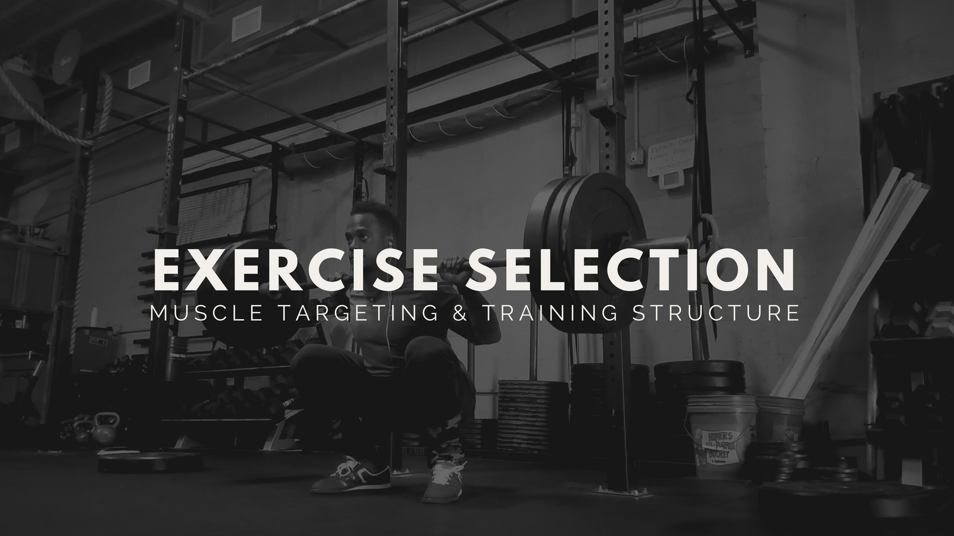 Exercise Selection Guide - TRIBE BY NOIRE