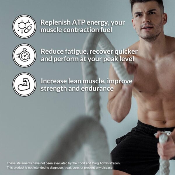 Naked Creatine Monohydrate - Image 3