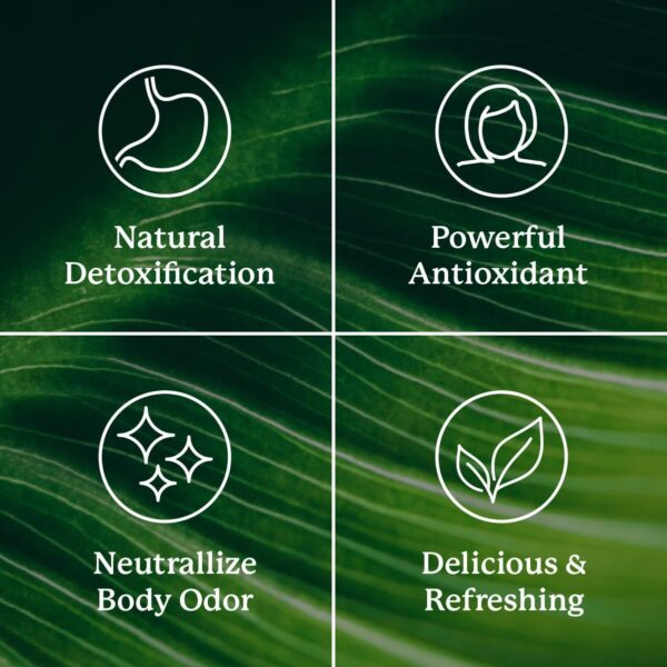 Nature's Sunshine Liquid Chlorophyll Extra Strength - Image 4