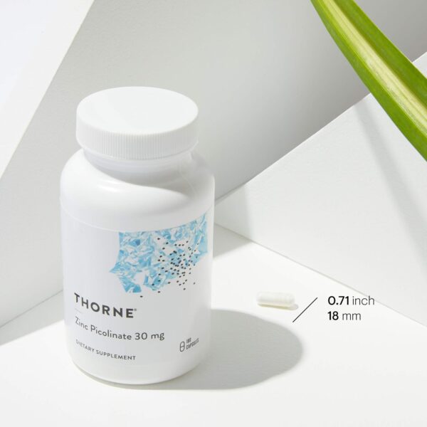 Thorne Zinc Picolinate - Image 5